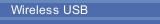 Wireless USB