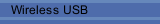 Wireless USB
